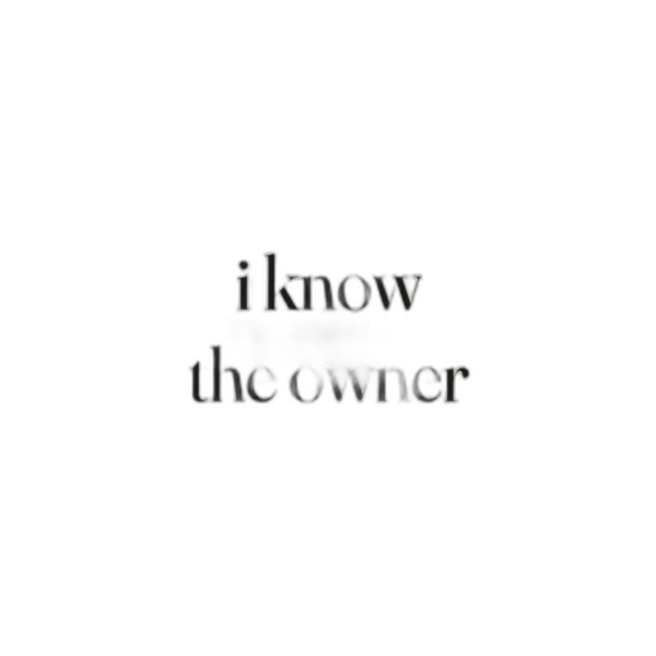 I Know The Owner Tee
